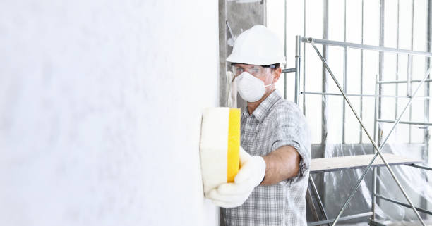 Best Mold Odor Removal Services  in Nellysford, VA